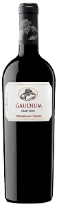 gaudium__1_-removebg-preview-1 gaudium__1_-removebg-preview-1