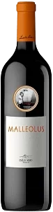 malleolus-emilio-moro-2017-removebg-preview malleolus-emilio-moro-2017-removebg-preview